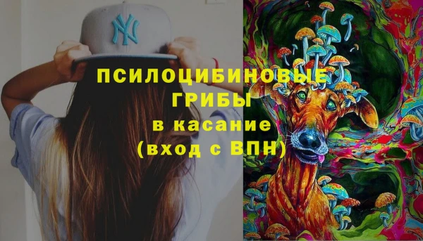 молекула духа Алексеевка