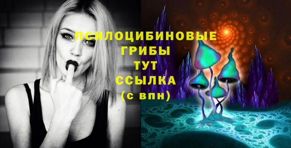 молекула духа Алексеевка