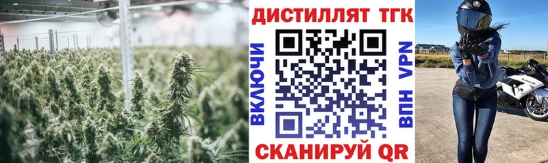Купить закладки  Кингисепп  ТГК гашишное масло 