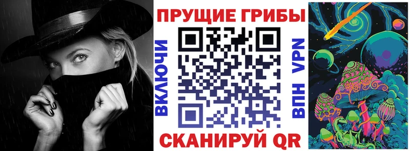Купить где  Кингисепп  Галлюциногенные грибы GOLDEN TEACHER 